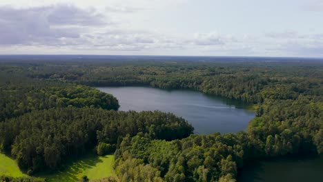 aerial view flying over green forest tree vegetation towards woodland lake