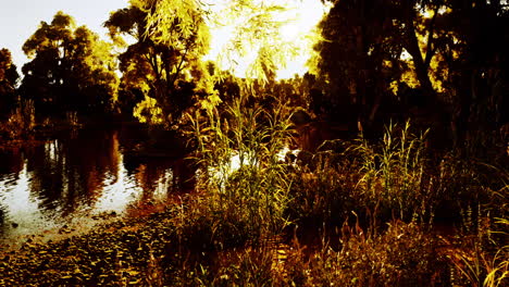 un río corre a través de él: una hora de oro puesta de sol