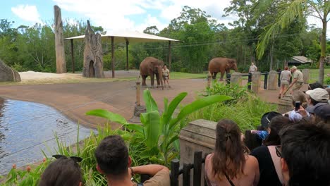 el elefante interactúa con los entrenadores y la audiencia