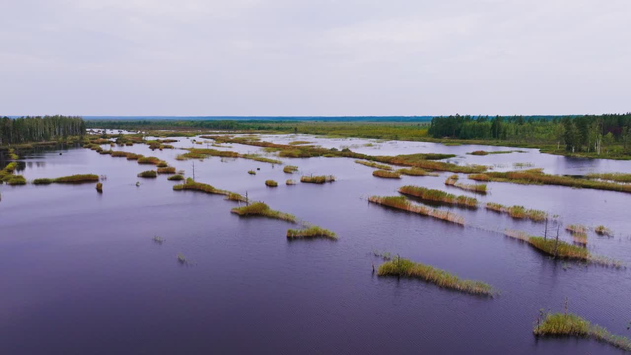 Establishing shot of drone over swamp lakes in Kemeri National Park Latvia