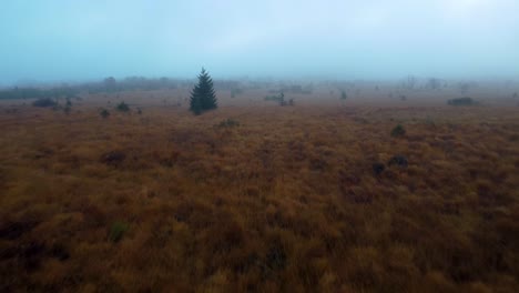low flying above meadows on misty moody day
