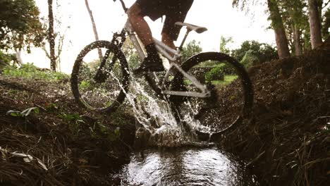 Ciclista-De-Montaña-Masculino-Montando-En-El-Bosque