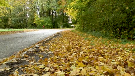 Hojas-De-Otoño-Que-Cubren-Un-Pavimento-Al-Comienzo-Del-Otoño-En-Rutland,-Reino-Unido