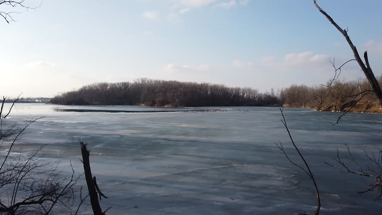 오후에 호수에서