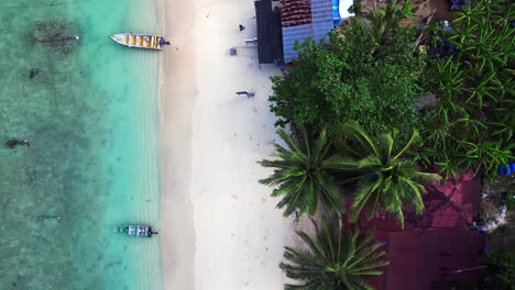 Leerer-Strand-Mit-Palmenschatten-Am-Morgen