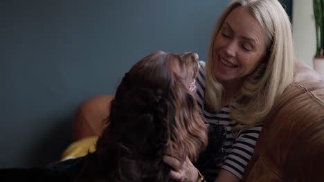 a woman playing with her dogs