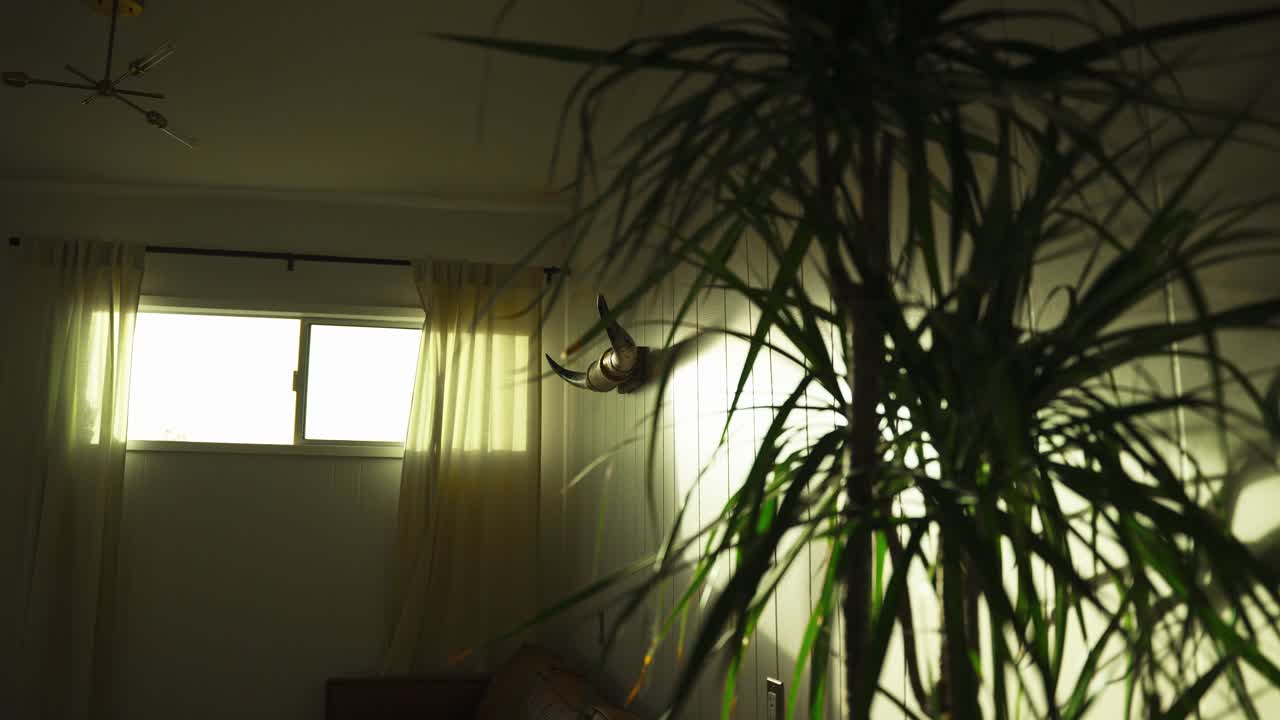 sol entrando por la ventana sobre la decoración de la pared con cuernos de buey