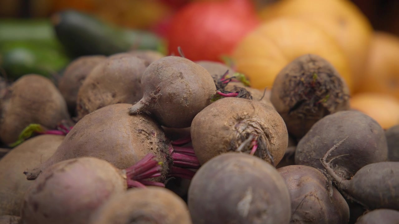 Freshly harvested red beets