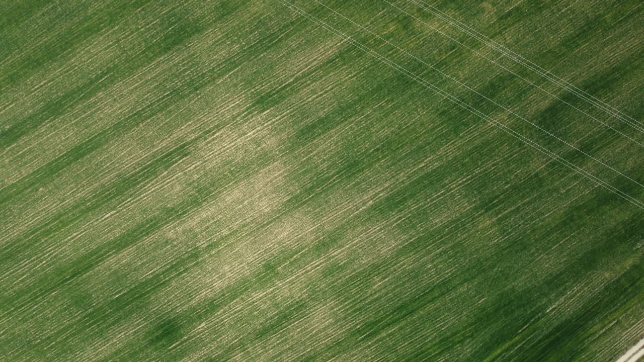 Aerial View of a Green Field with Power Lines