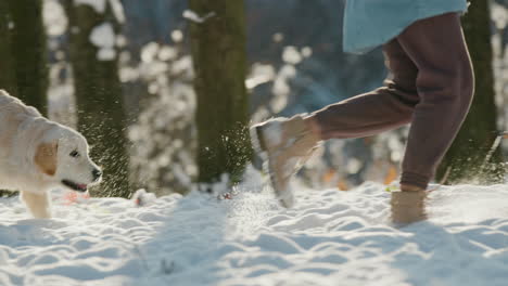 pet owner running in the snow with her dog, having a good time on a walk in the winter forest. slow motion video