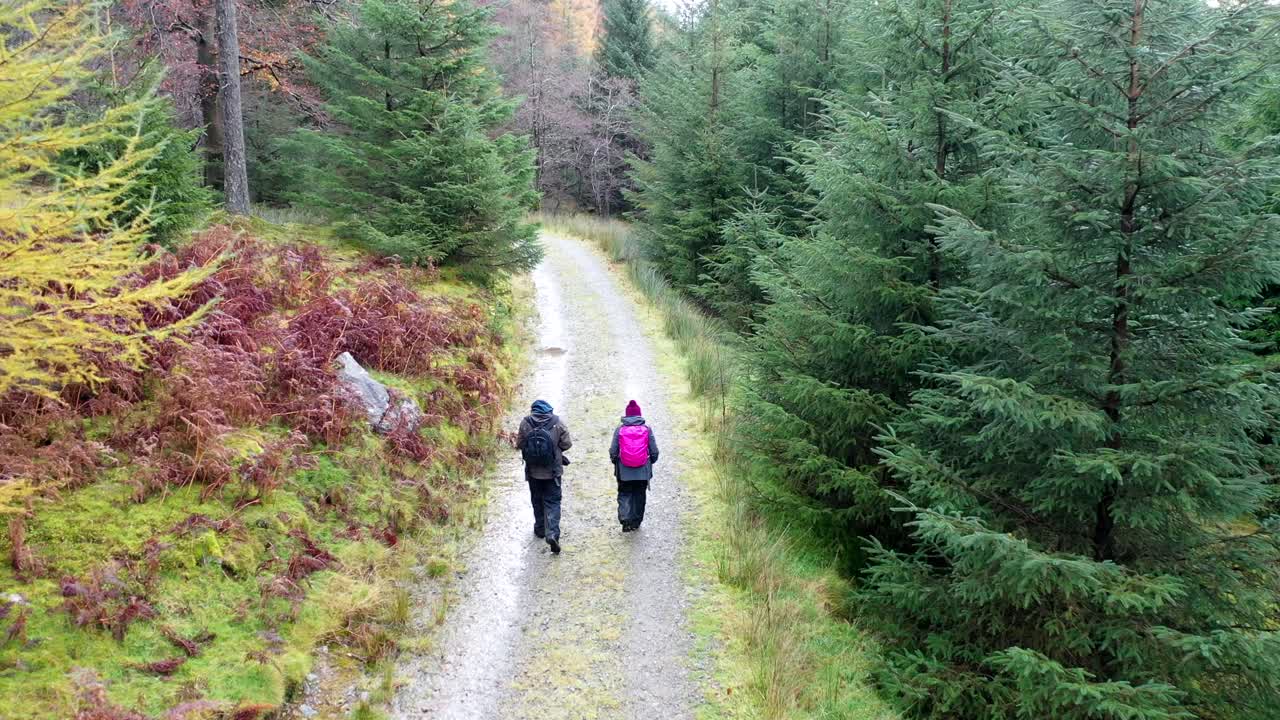 一架无人机在雨天跟着两名步行者穿过森林的一条小路的录像