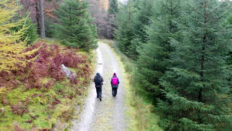 footage from a drone following two walkers on a rainy day through a path in a forest