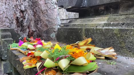 offering of flowers with incense slowly smoking while resting at a temple in bali, indonesia. low close up angle.