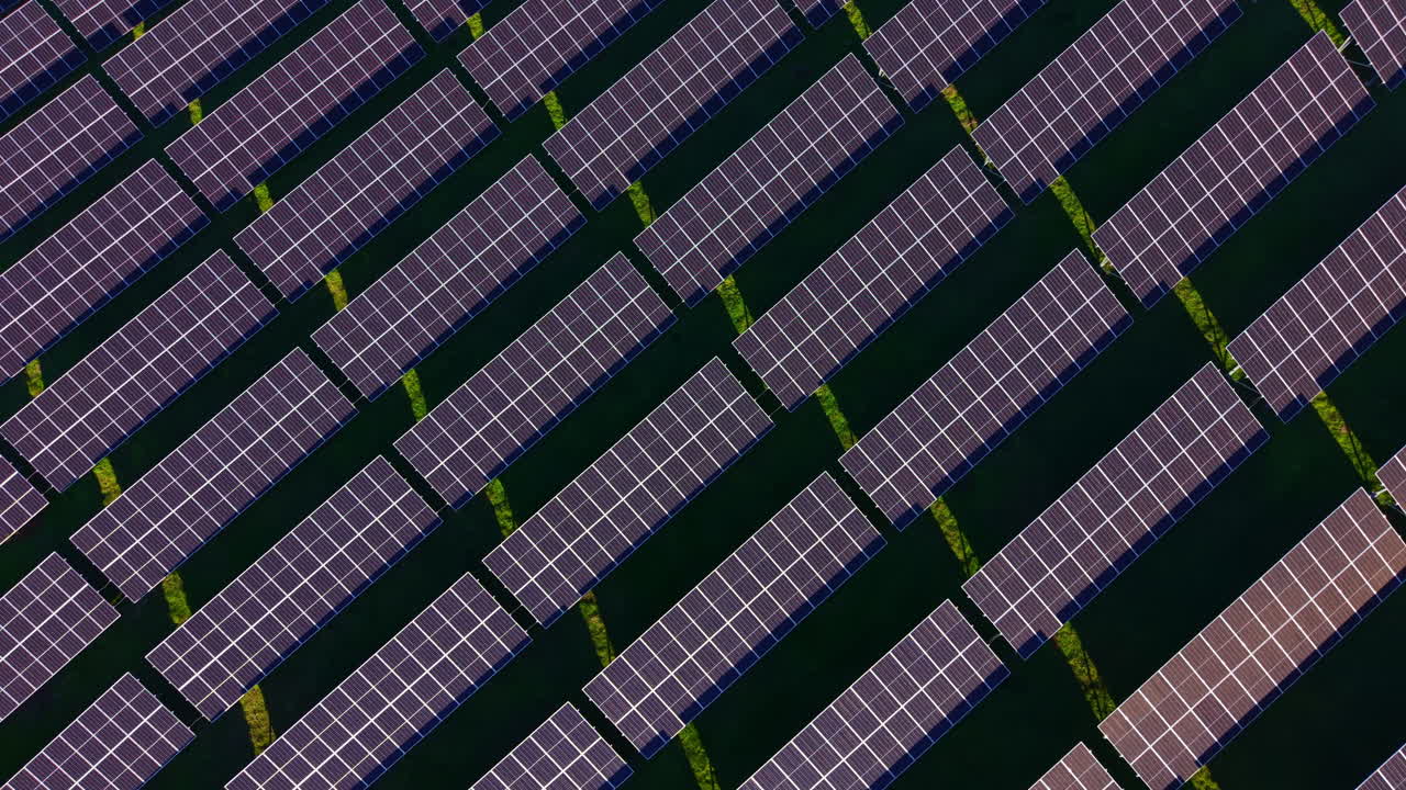 File di pannelli solari creano un vivace mosaico di energia rinnovabile in un campo illuminato dal sole