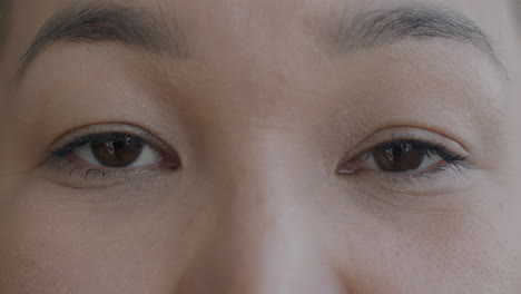 primer plano de los ojos de una persona