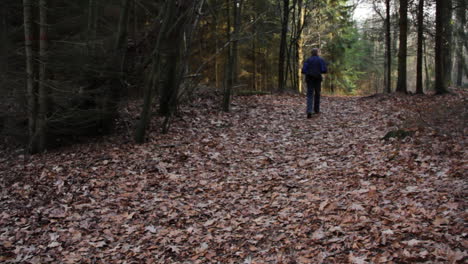 Vista-Estática-Del-Hombre-Caminando-Por-El-Bosque-En-Otoño