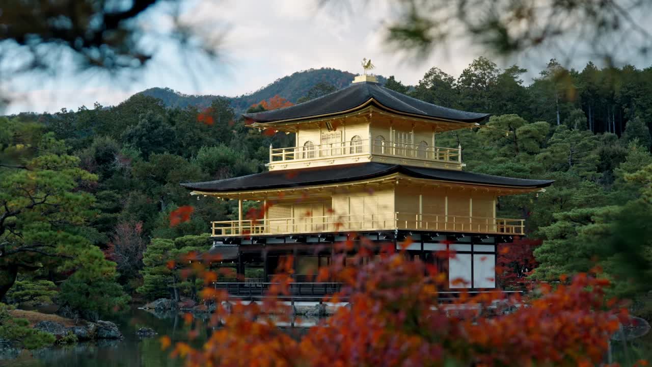 The stunning Golden Pavilion, Kinkaku-ji, reflects beautifully on the calm pond, surrounded by vibrant autumn foliage in Kyoto, Japan.
