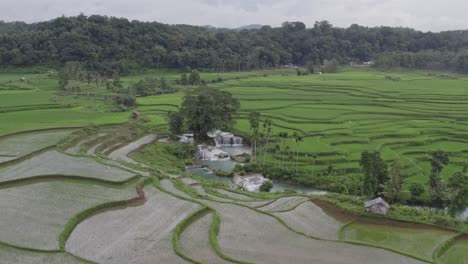 establishing shot of the waikelo sawah waterfall at sumba indonesia, aerial