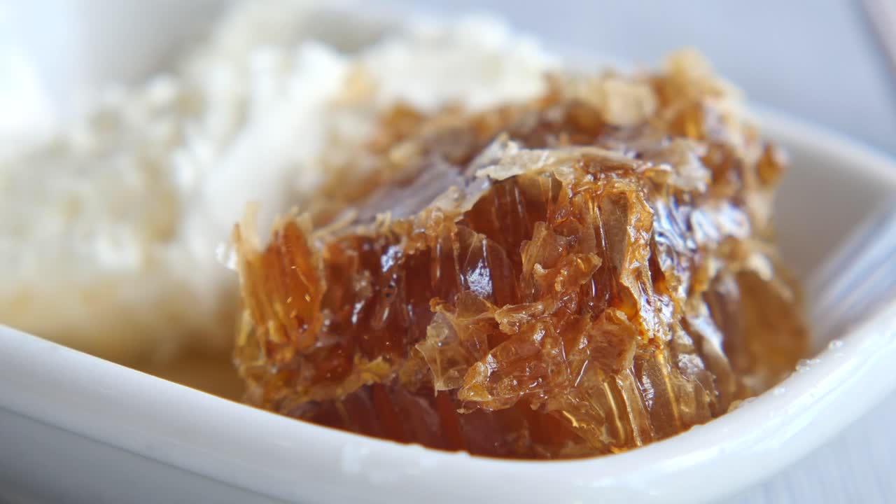 близкий план пчелы