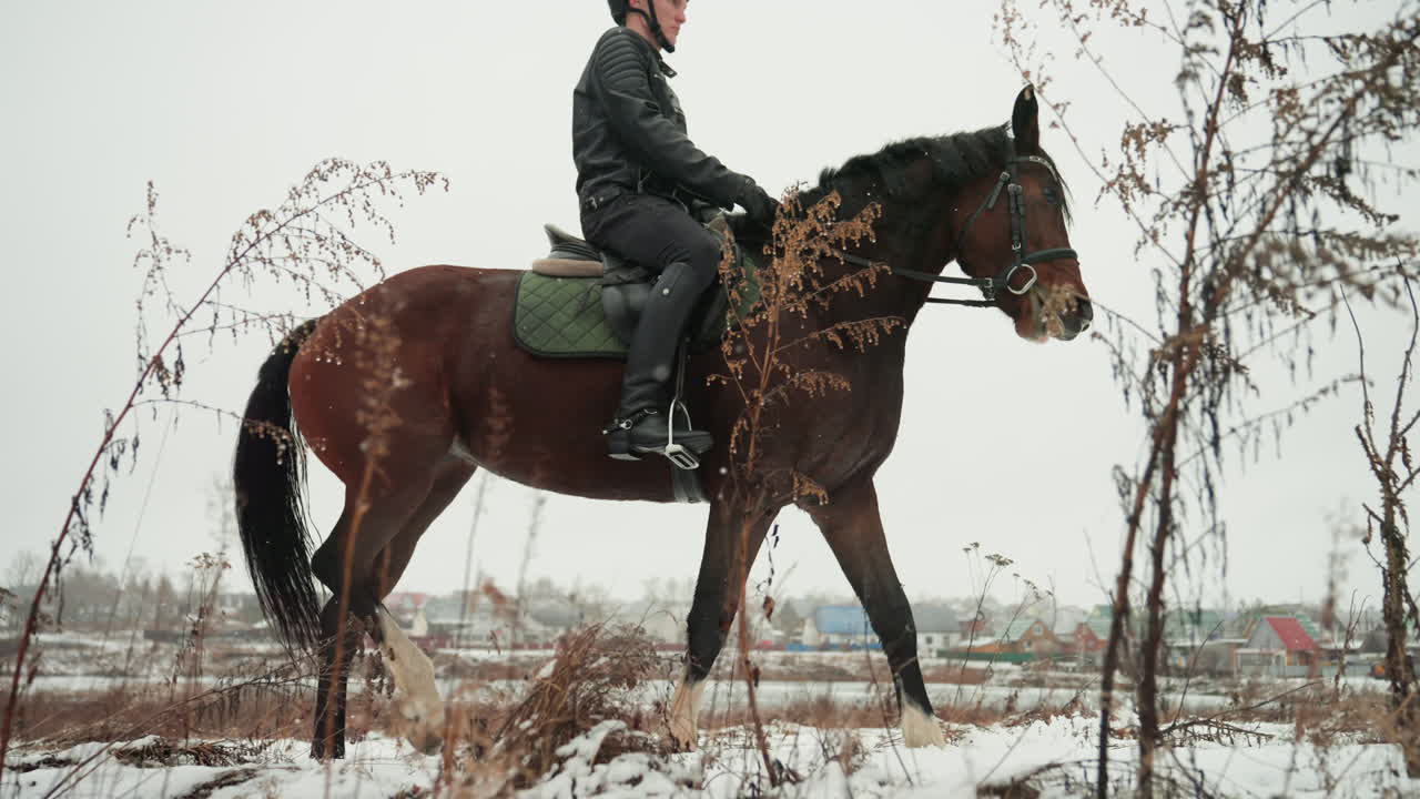 Cavaliere bianco a cavallo in un campo innevato, lezione in stile istruttore incentrata su equilibrio e intesa, sottosella verde, casco, cielo coperto, erbacce alte e secche, trotto lento e controllato, equitazione pratica