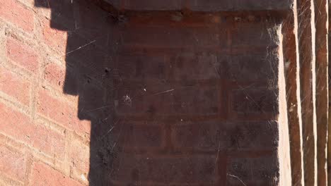 close up spider webs on brick wall blowing in wind 4k