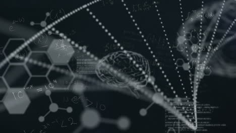 animación del procesamiento de datos científicos, el cerebro humano y el hilado de cadenas de adn
