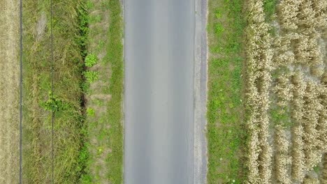 Topshot-Eines-Radrennfahrers-Auf-Der-Straße,-Gefolgt-Von-Einem-Auto