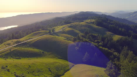 Flug-über-Die-Landschaft-Des-Mt-Tamalpais-In-Richtung-Einer-Kurvenreichen-Bergstraße