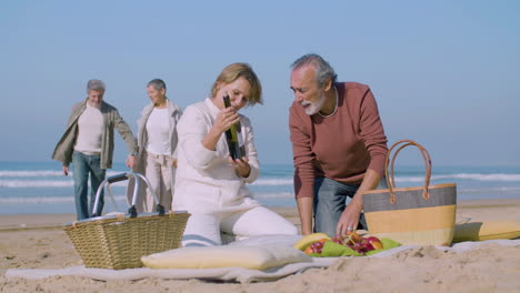 happy senior couples having picnic on sandy shore