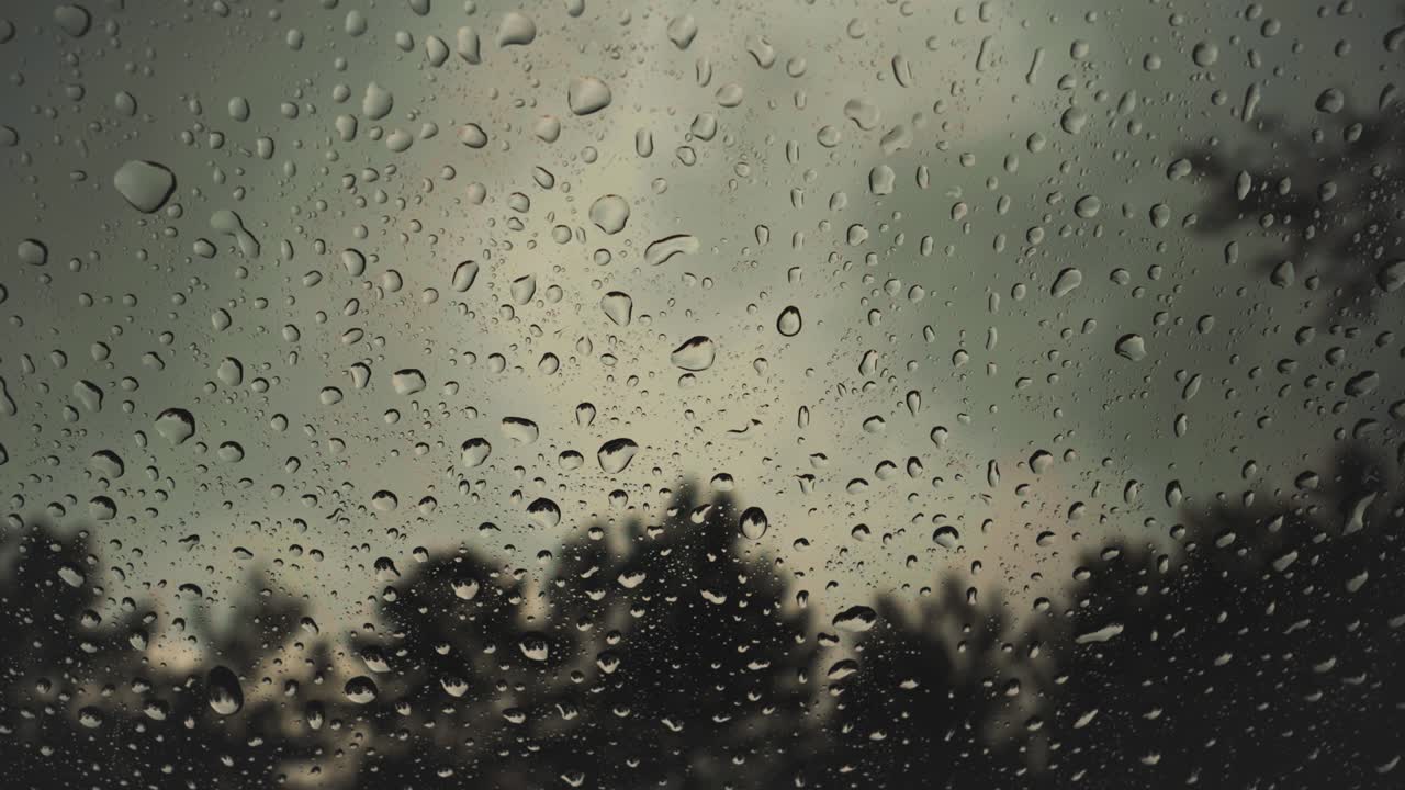 Raindrops on glass in the evening against the background of trees