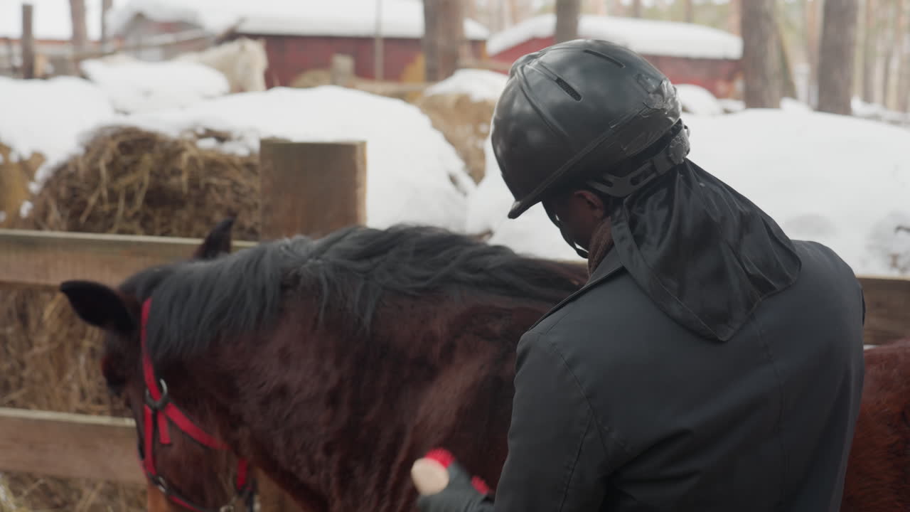 Entrenador acaricia a caballo en establo, persona con guantes y casco interactúa con delicadeza con caballo durante el invierno, cuidador con equipo de protección acaricia con delicadeza a caballo rodeado de heno y escena invernal