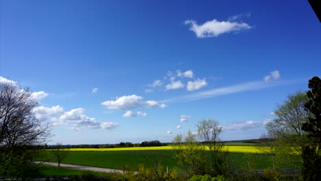 timelapse of clouds and a rapeseed field. spring. 
timelapse af skyer og en rapsmark.