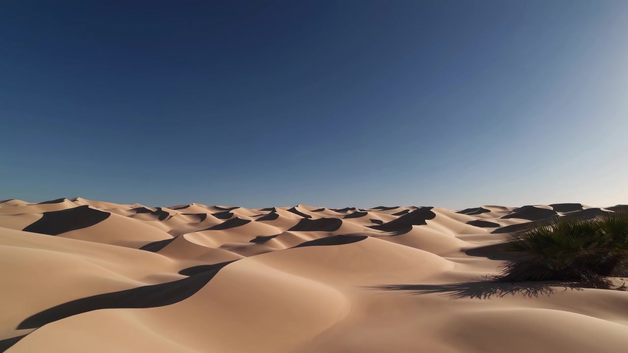 Vista aerea di vaste dune di sabbia nel deserto