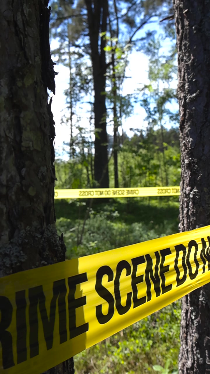 Bright yellow crime scene tape restricting access to a police investigation area in a sunny pine forest, creating a perimeter around the evidence with a blurred background of green foliage