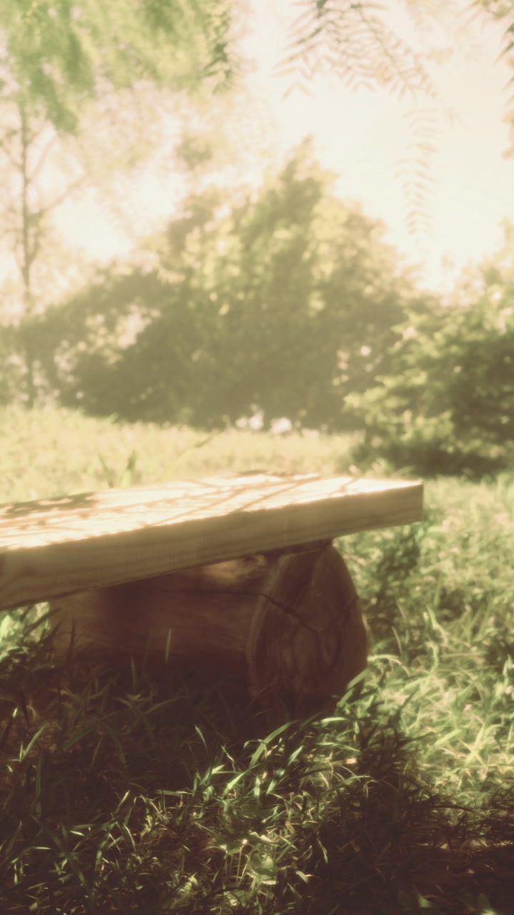 Wooden bench in a green field under bright sunlight in the afternoon