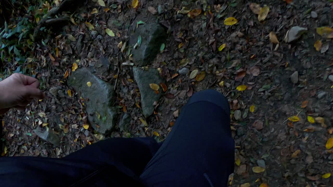 숲이 우거진 돌길을 걷는 등산객의 다리와 발에 대한 독특한 관점