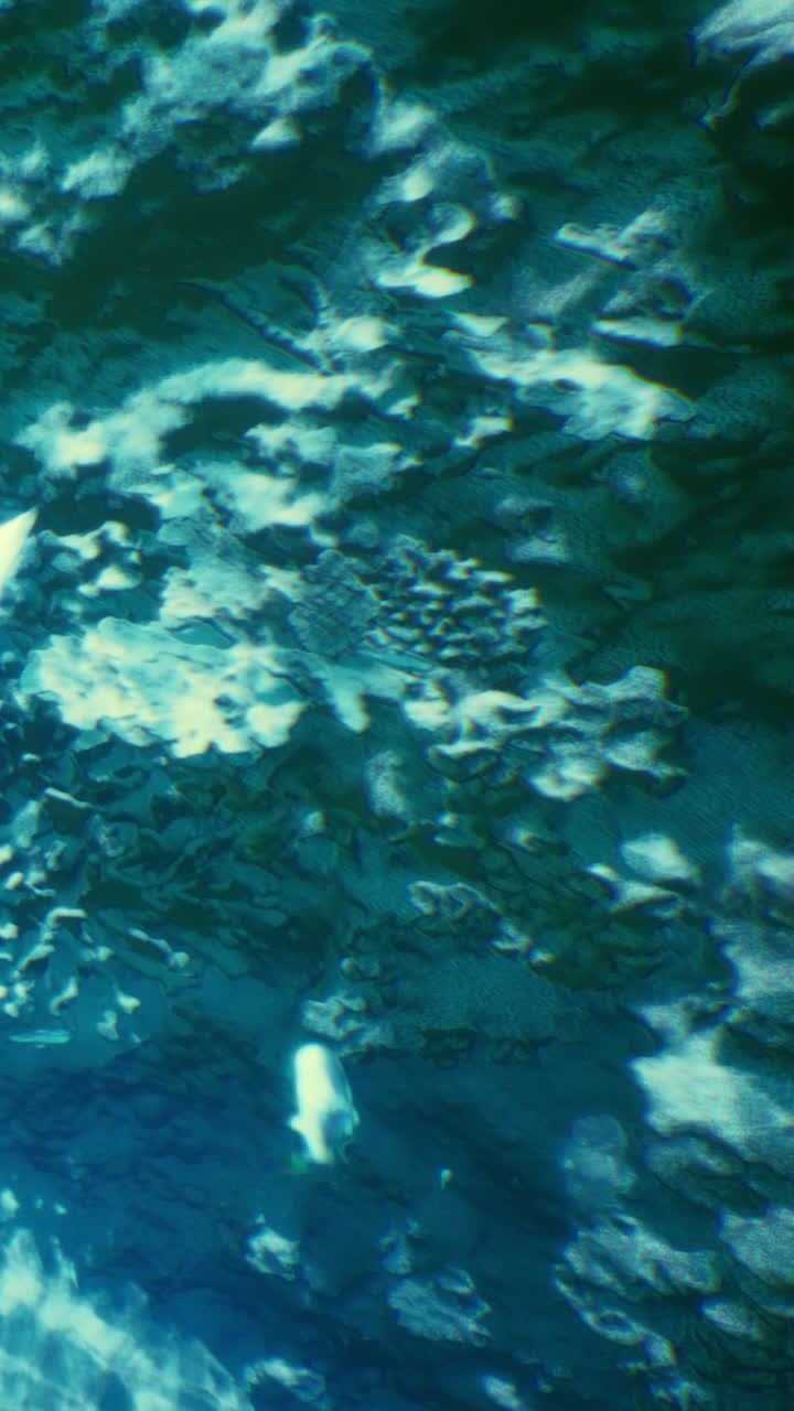 La luce danzante gioca sulla superficie scintillante di acque blu tranquille.