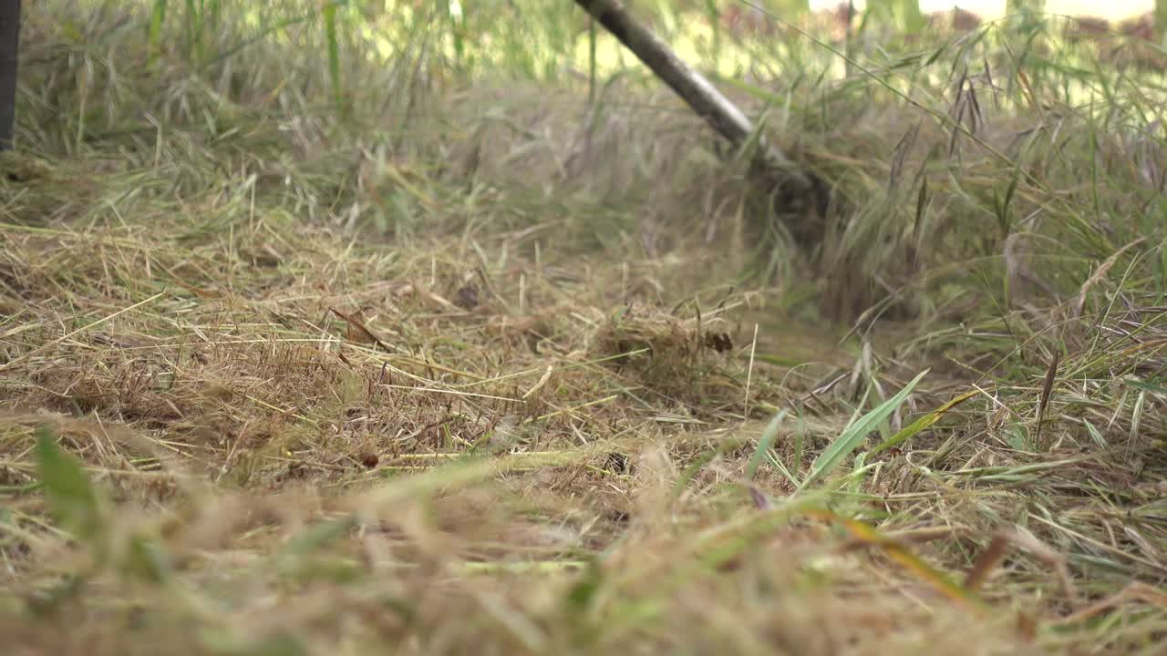 садовник косит сорняки траву