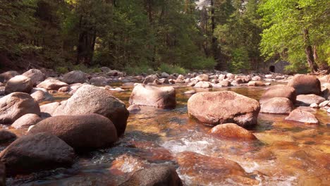 low static shot of a flowing river through the forest