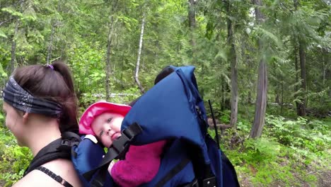 Mother-carrying-baby-in-carrier-backpack-while-walking-through-forest-4k