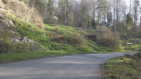 fast push in: walking on a road in a forest during the morning, switzerland, vaud