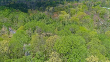 aerial view of spring time colors of a forest with a rail road track on a sunny day