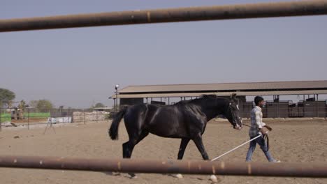 a man walks in front of a black horse in a sandy area, holding a long stick as the horse follows slowly, with stables in the background during day