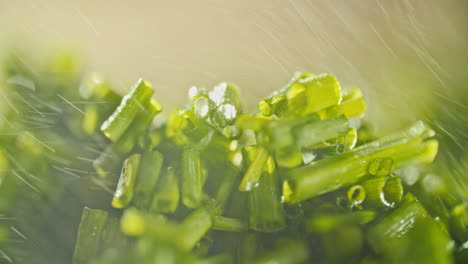 close macro shot of fresh chopped chives laying on a wooden cutting board, then water is sprayed on it