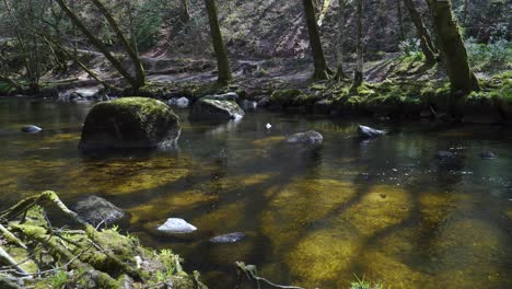 Süßwasser,-Das-Den-Fluss-Teign-Im-Nationalpark-Dartmoor-Hinunterfließt