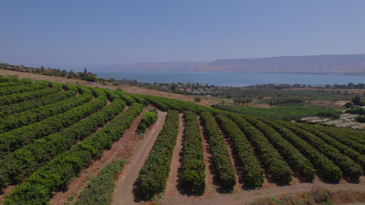 plantaciones de kibbutz kinneret frente al mar de kinneret y las montañas de golán