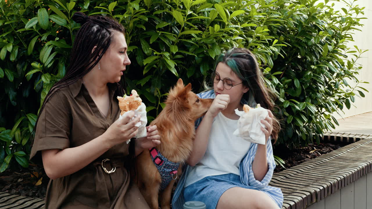 Family Lunch with a Dog