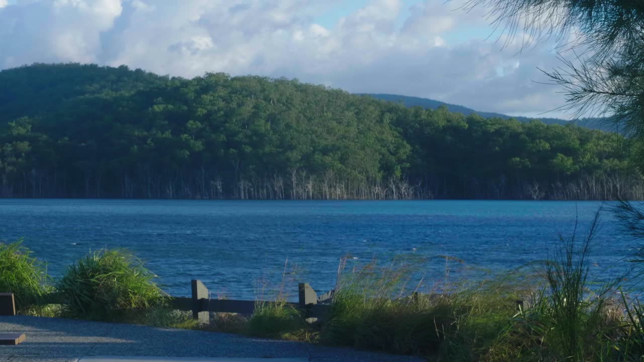 바람에 흐르는 덤불을 지나 흐르는 물의 샷