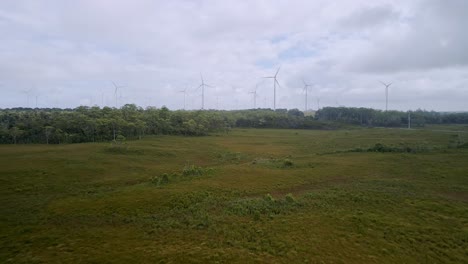 Rotating-wind-farm-turbines-on-horizon-with-green-grass-and-forest-in-Tasmania,-Australia---drone-motion-shot