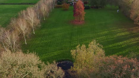 Reveal-shot-of-rural-house-with-nice-tree-in-front-during-autumn,-aerial